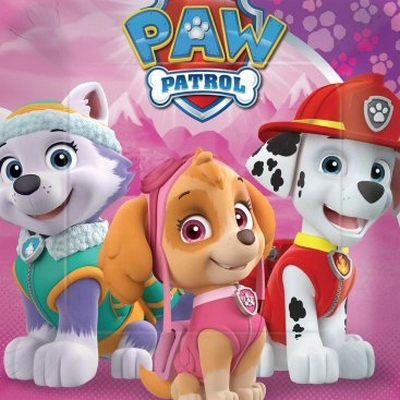 Paw Patrol Girl